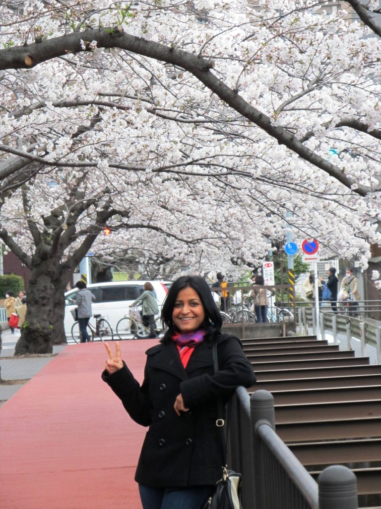 My pic on Ofuna bridge , cherry blossom, March 2013