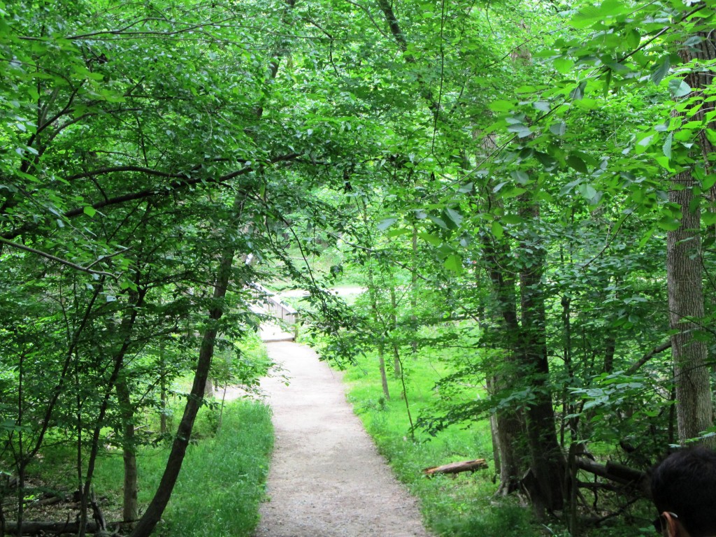 The hike through woods begin..