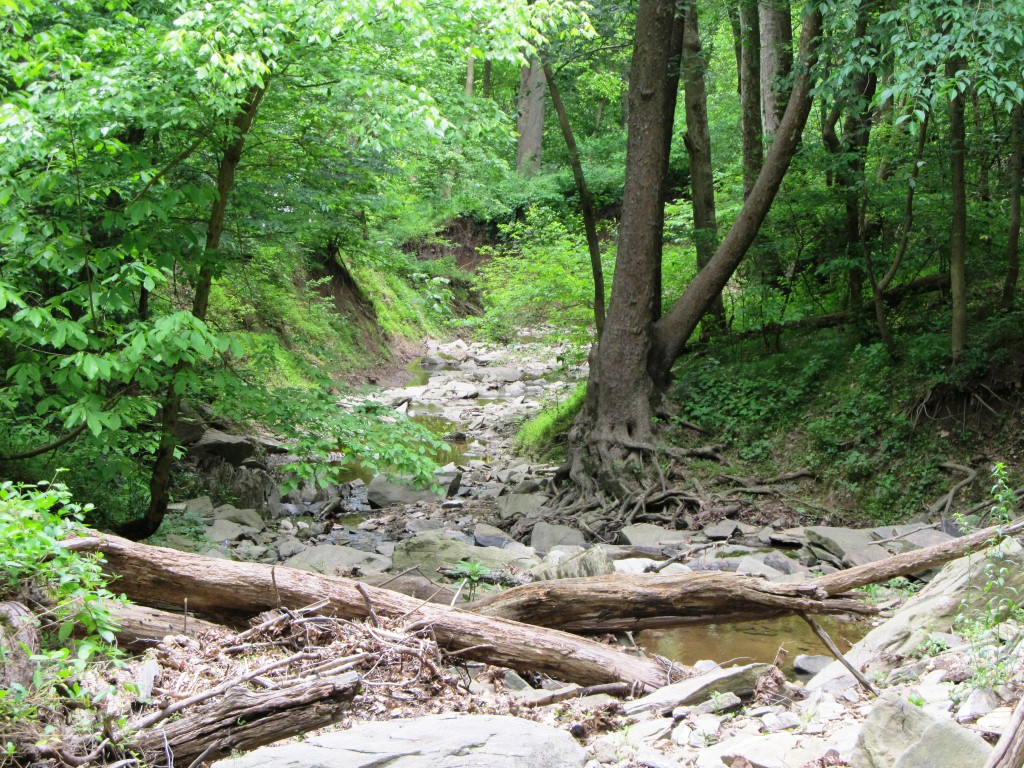 And still hiking up to the walls..