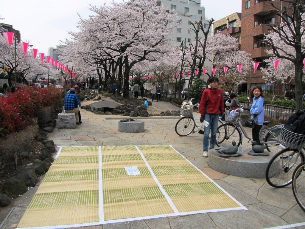 People had already reserved few good spots to enjoy hanami