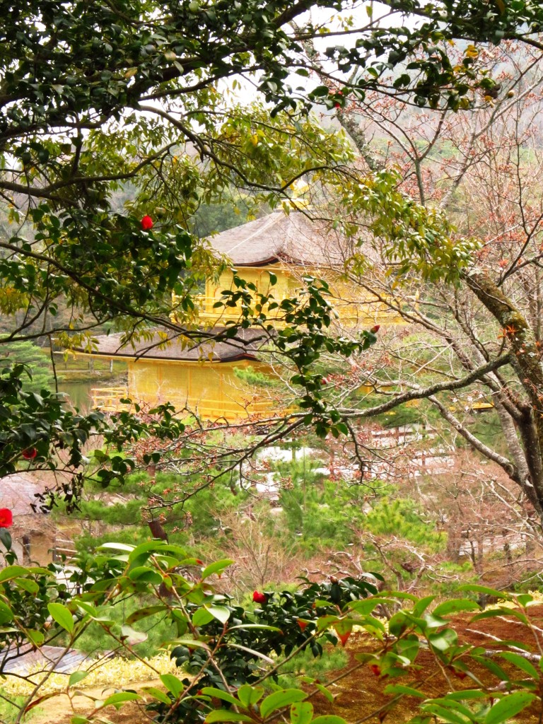 Golden temple hiding behind trees and cherry blossoms!