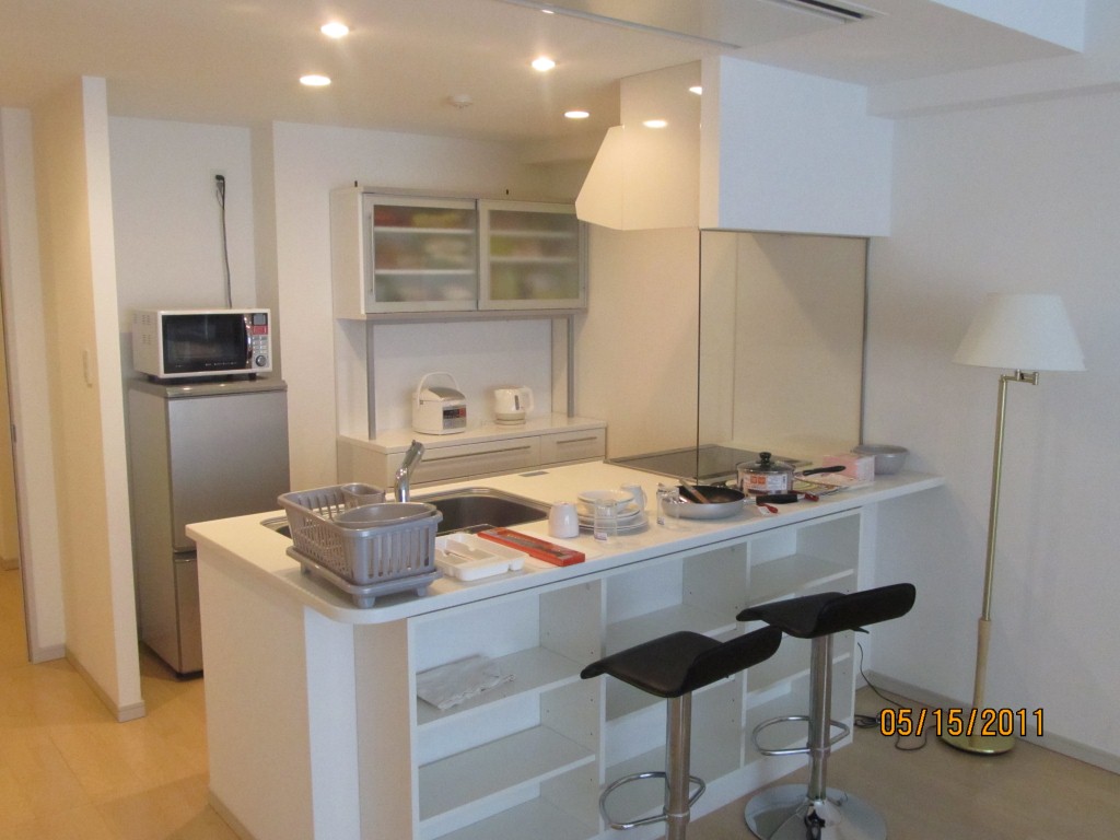 Kitchen and dinning area