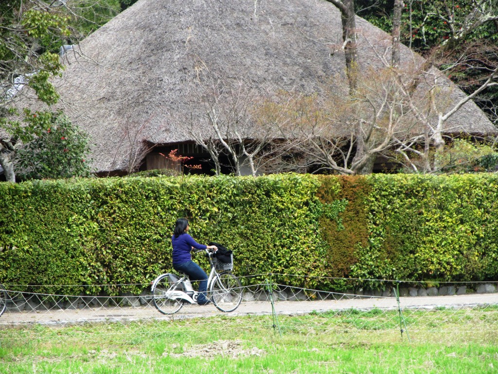 Me on my bike to see this house made of wheat