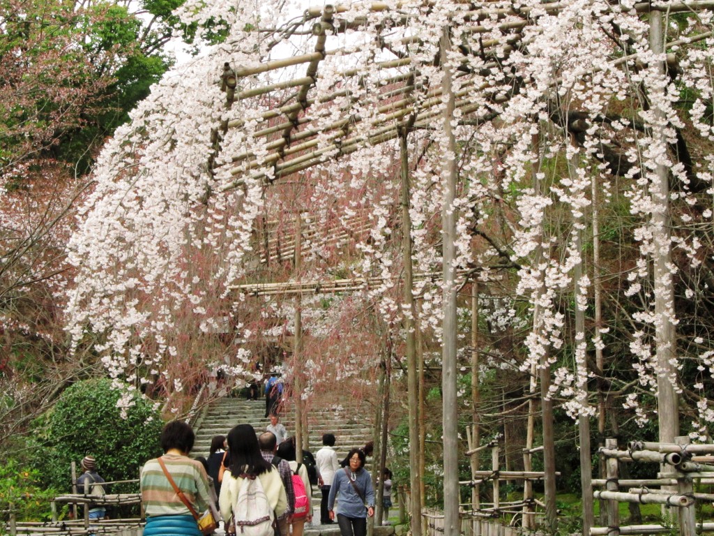 Entry to the zen garden..