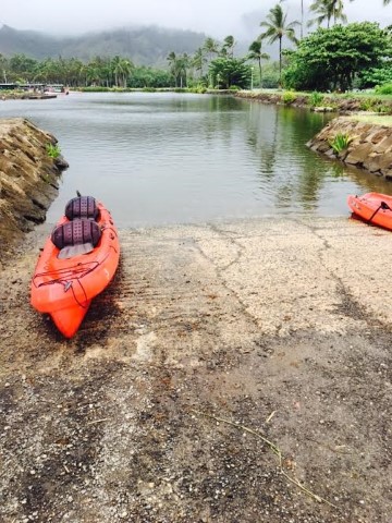 Our Kayak