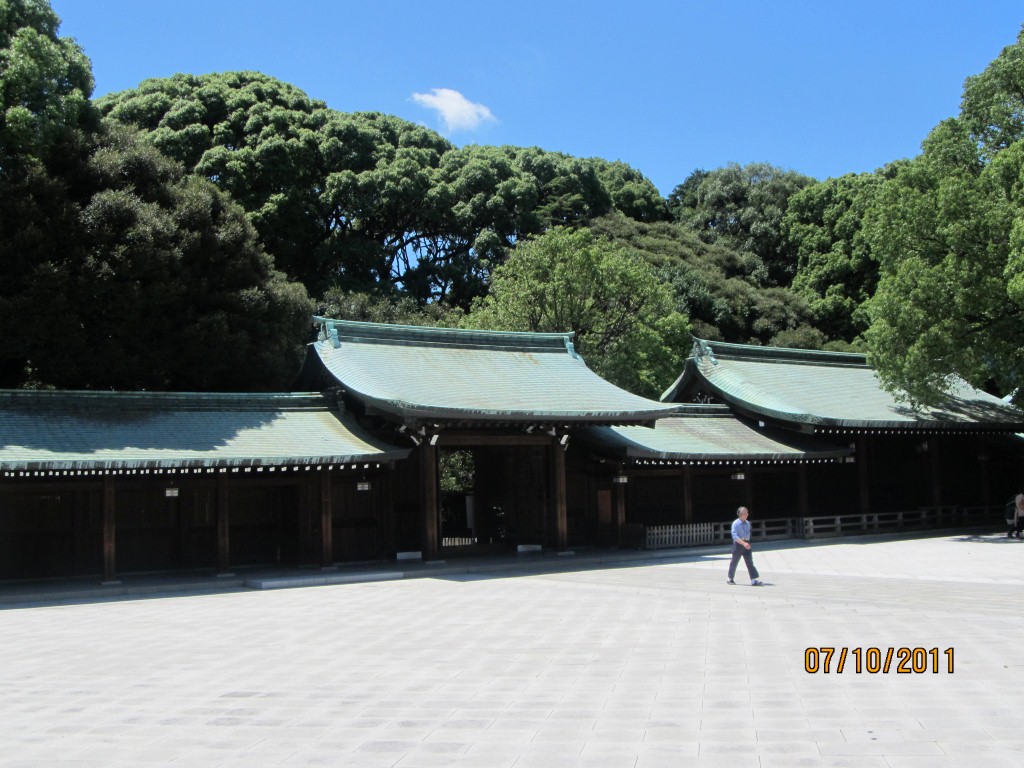 IMG_0500 (2)