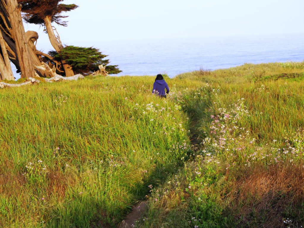 Love walking in the lush green fields!
