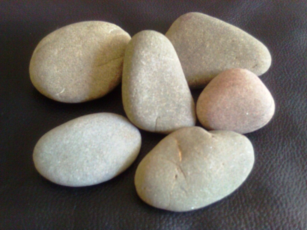 Rocks, I picked up from Mendocino coast