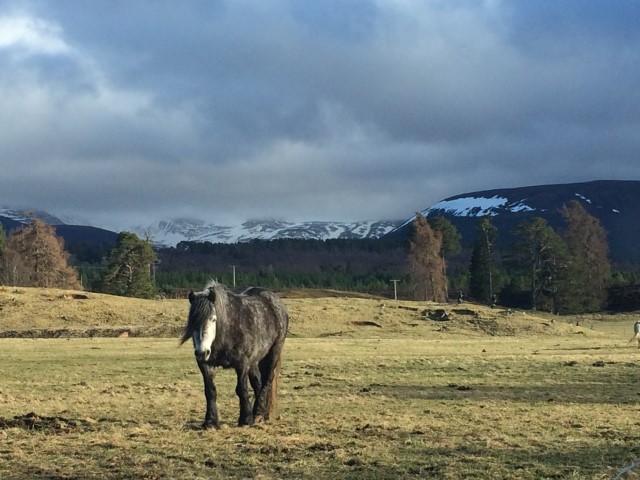 9D8B01FC-F6F0-4352-9492-B2D06BA689AC