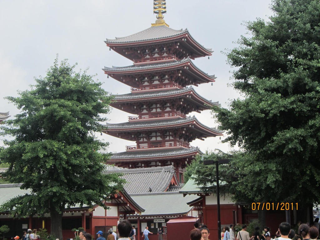 IMG_0071 (2)