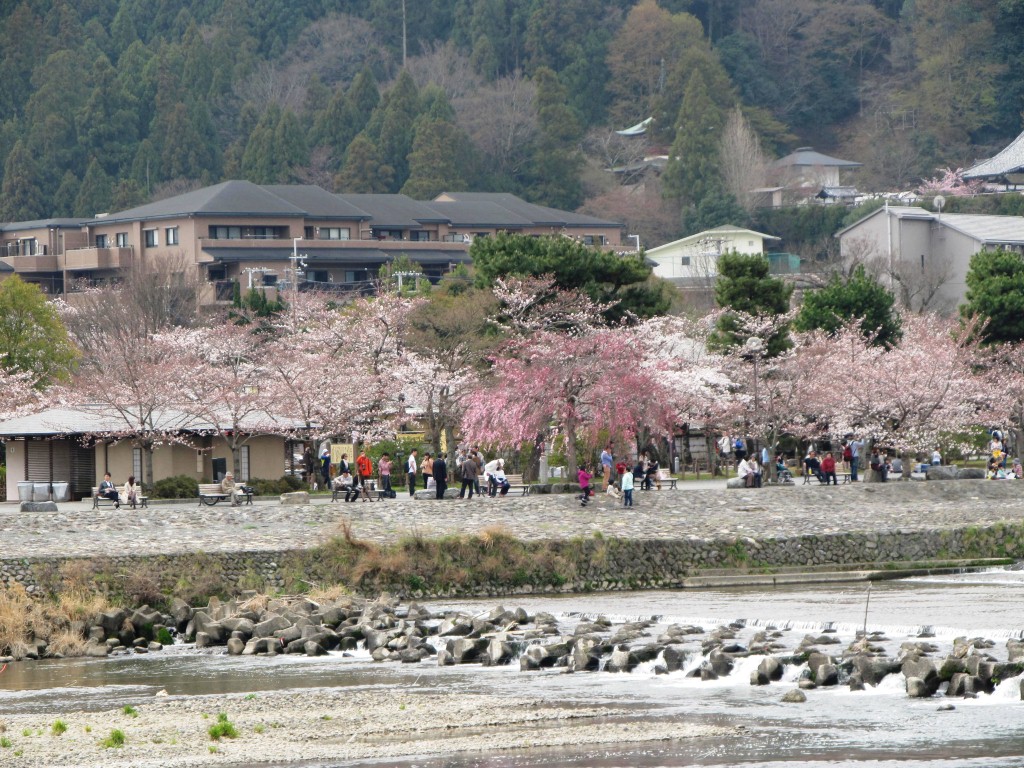 More pics in and around Nara
