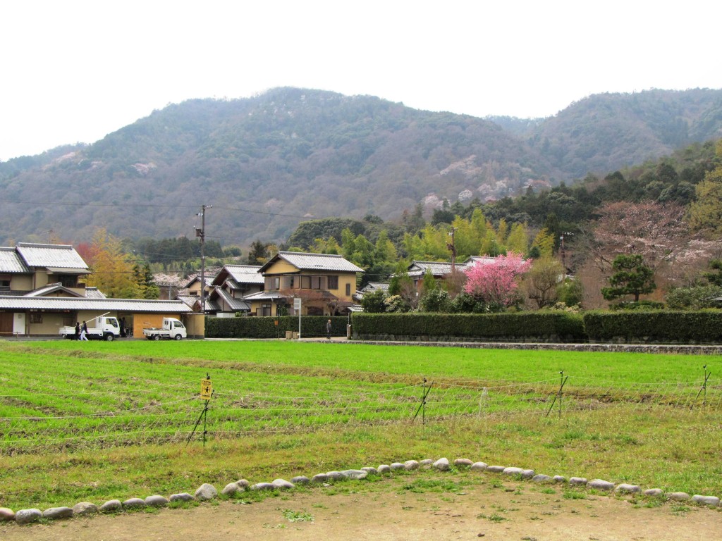 Japan countryside